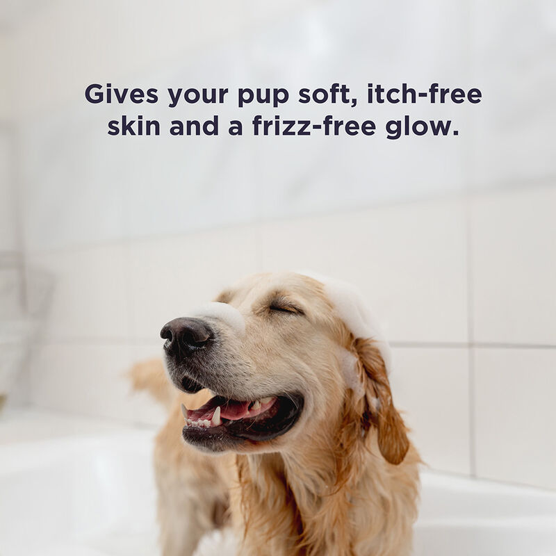 CHI For Dogs Oatmeal Shampoo, , large image number null